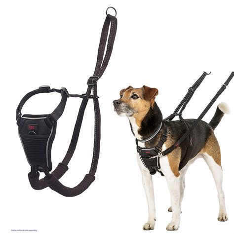 halti no pull dog harness.